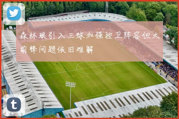森林狼引入三球加强控卫阵容但大前锋问题依旧难解